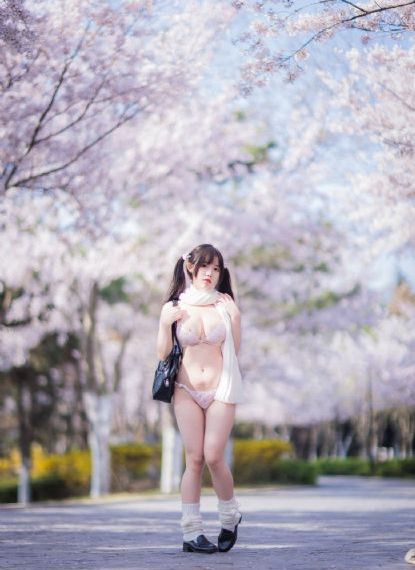 假面骑士极狐樱花动漫